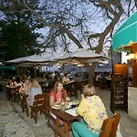 Dionysos Paphos