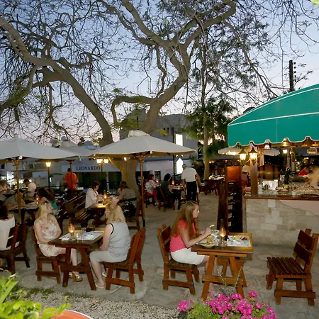 Hotell Dionysos Paphos