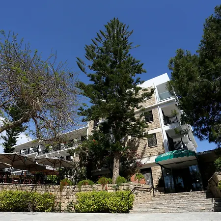 中央狄俄尼索斯酒店 3*