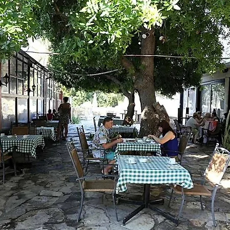 Dionysos 3*