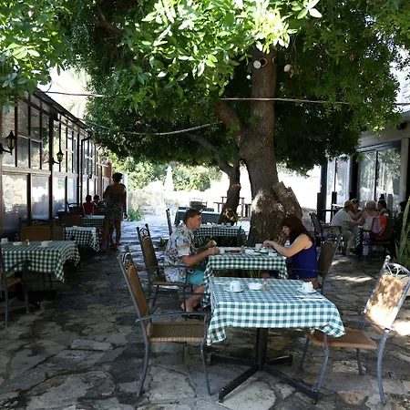 Dionysos 3* Пафос