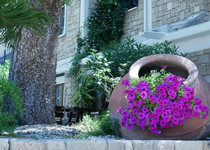 Dionysos 3* Πάφος